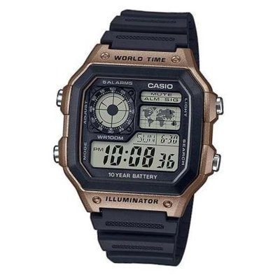 Casio CsCllctnAE-1200WH-5AVEF