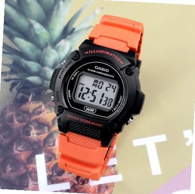 Casio W-219H-4A