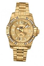CAT Whistler Lady , Gold With Stones Dial and Gold Stainless Steel Strap