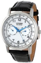 Citizen AO9000-06B Eco-Drive Stainless Steel Day-Date Casual
