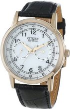 Citizen AO9003-16A Eco-Drive Rose Gold Tone Day-Date