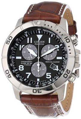 Citizen BL5250-02L "Eco-Drive" Leather and Titanium