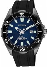 Citizen BN0205-10L