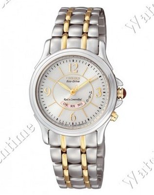 Citizen Eco-Drive Eco Drive Ladies Radio controlled 