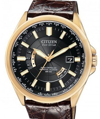 Citizen Eco-Drive Eco-Drive World Perpetual A-T Limited Edition