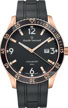 Claude Bernard 53008 37RNCA NIR