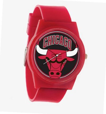 Flud Red Chicago Bulls Pantone