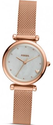 Fossil ES4505