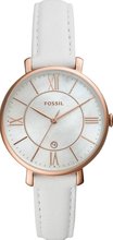 Fossil ES4579