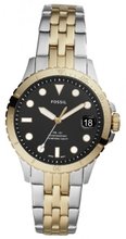 Fossil ES4745