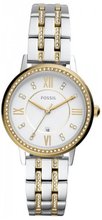 Fossil ES4881