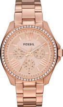 Fossil FOS AM4483