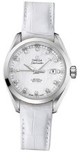 Omega Seamaster Aqua Terra Automatic 231.13.34.20.55.001