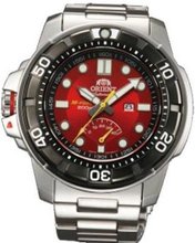 Orient FEL06001H