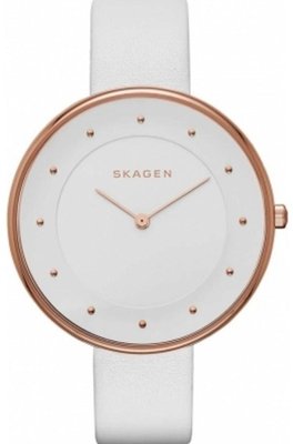 Skagen SKW2291