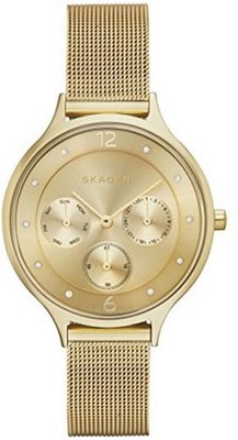 Skagen SKW2313