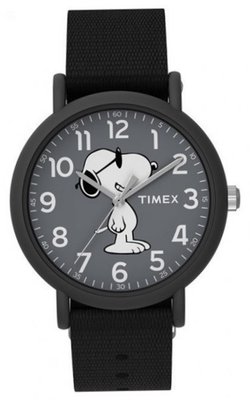 Timex TW2T65700