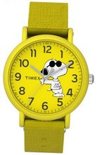 Timex TW2T65900